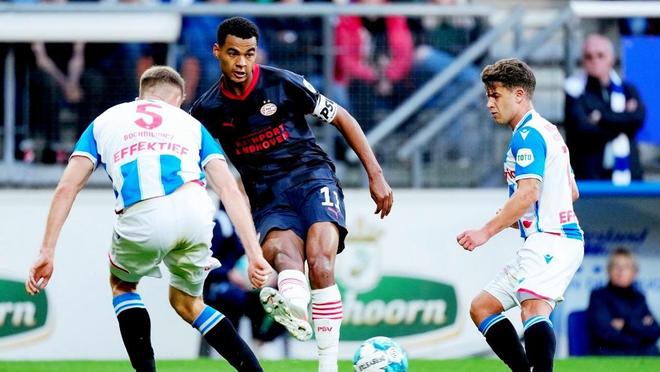 但这桩可能 但这桩可能