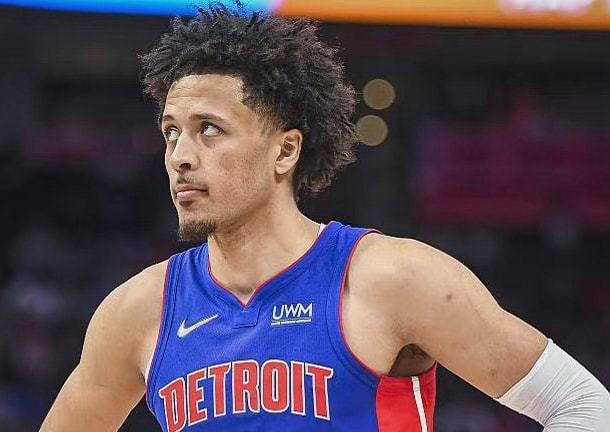 的新闻引起 的新闻引起